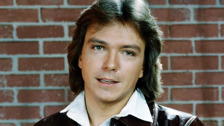 David Cassidy brick wall open mouth