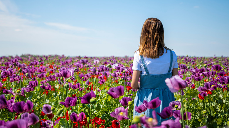 young girl in field of flowers