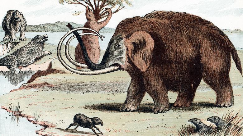 illustration of a woolly mammoth