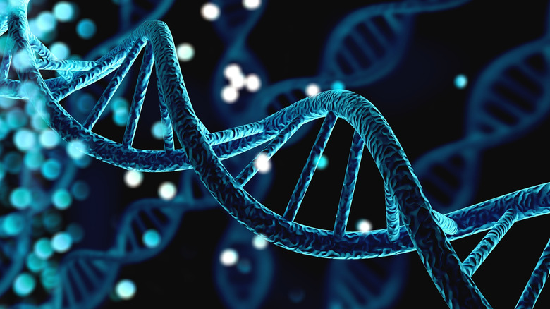 dna structure genome