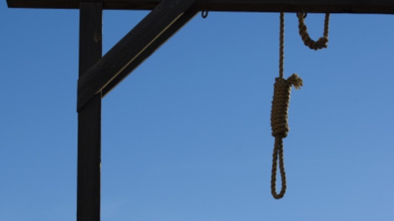 noose hanging from the gallows