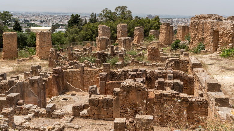 Ruins of Ancient Carthage