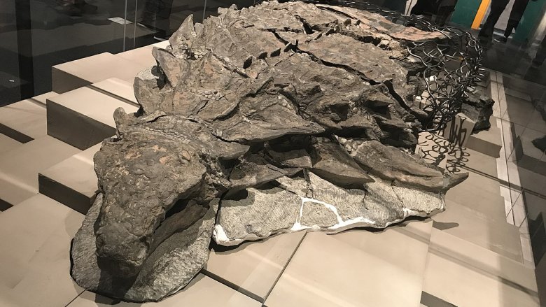 Nodosaur