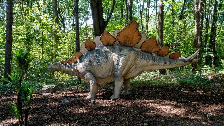 stegosaurus mbielu congo