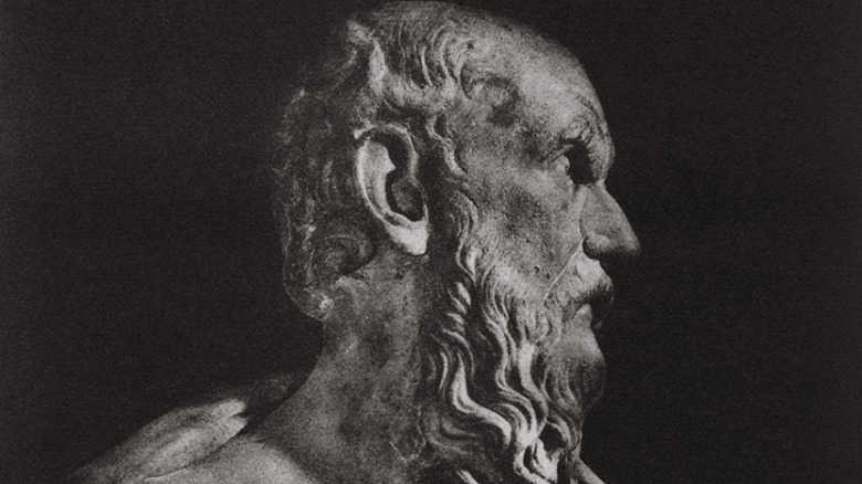 Bust of Diogenes