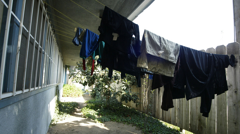 clotheslines at wesson's house