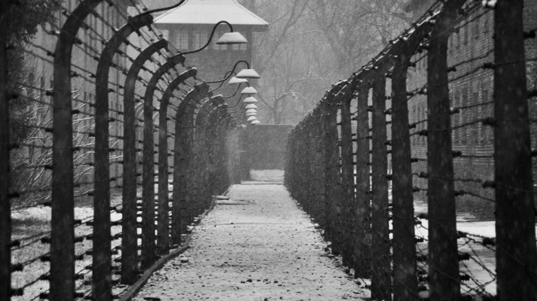 Auschwitz concentration camp