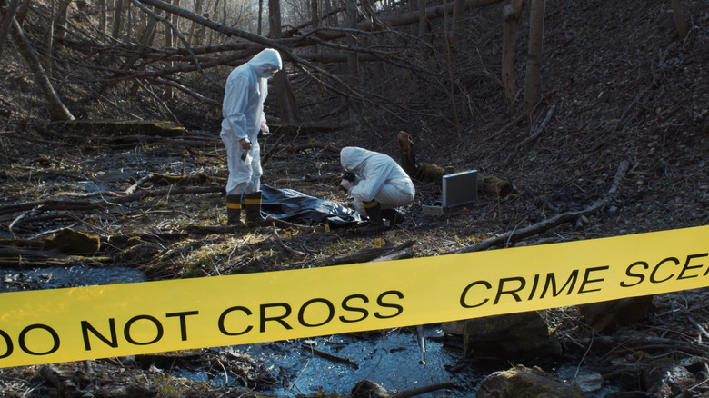 rural crime scene