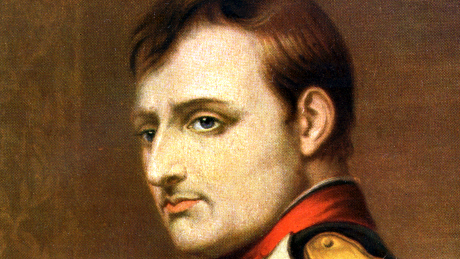 Наполеон 4. Птицы Наполеона 3. Napoleon Eyes. Napoleon Bonaparte essay short.