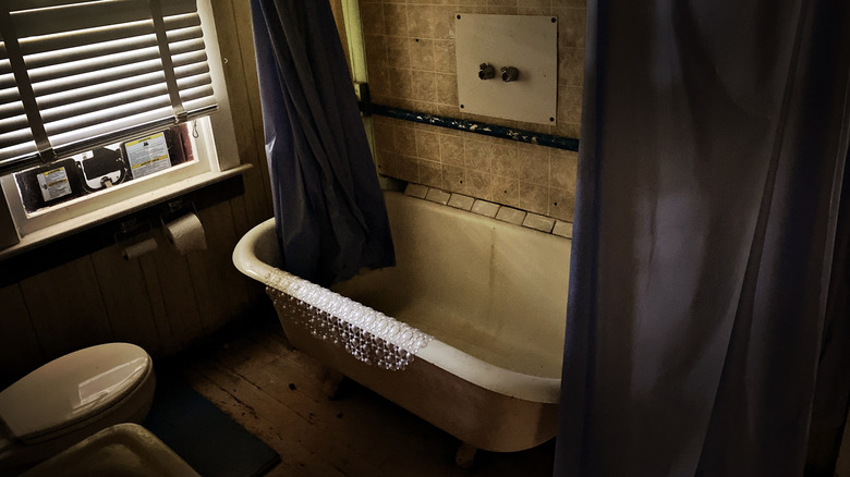 dark bathroom bathtub interior