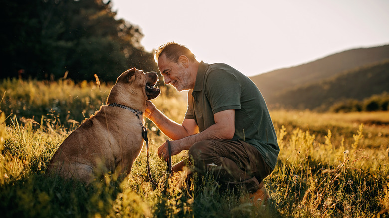 Man kneeling pet dog hillside