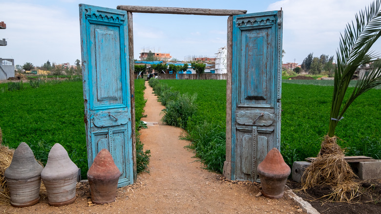 farm in egypt