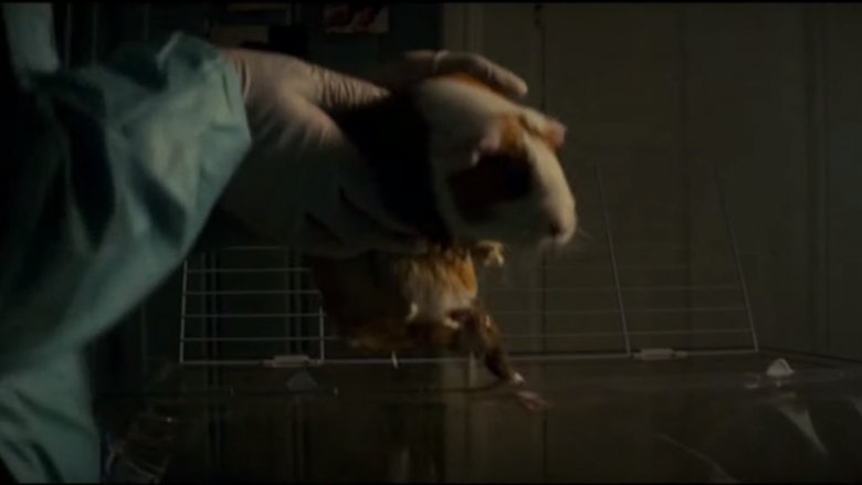 guinea pig black mirror