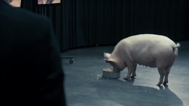 black mirror pig