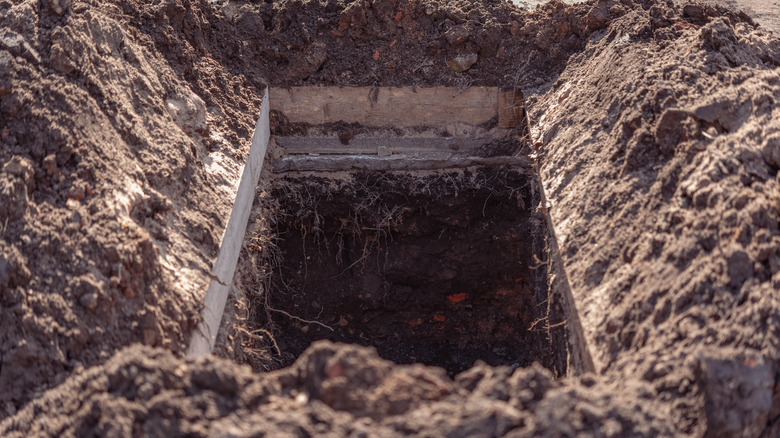 open grave in the sunlight