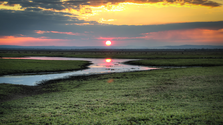 Gorongosa National Park 