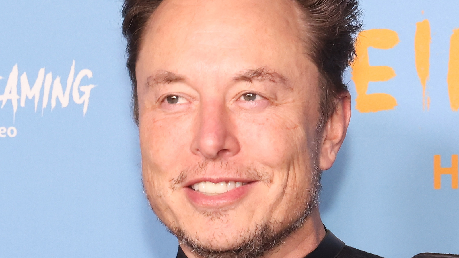 Elon Musk And Donald Trump's Tumultuous Relationship Explained - 247 ...