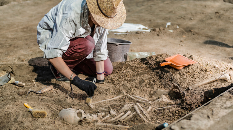 Excavating bones