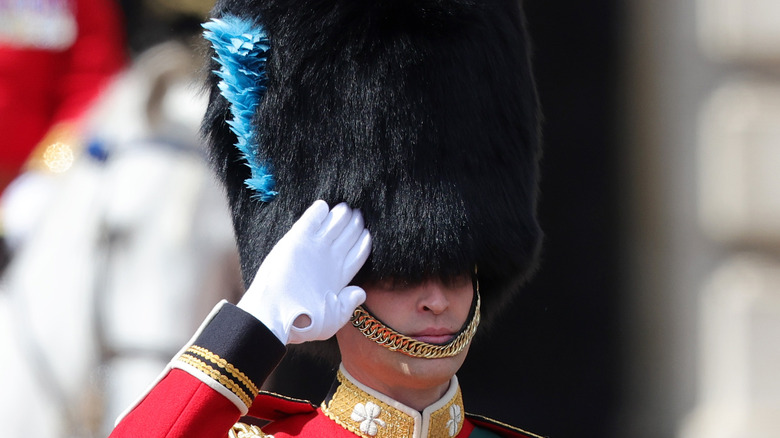 Prince William saluting in blue plumed fur hat