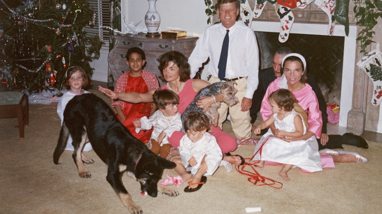 Kennedy family Christmas with Clipper and Charlie