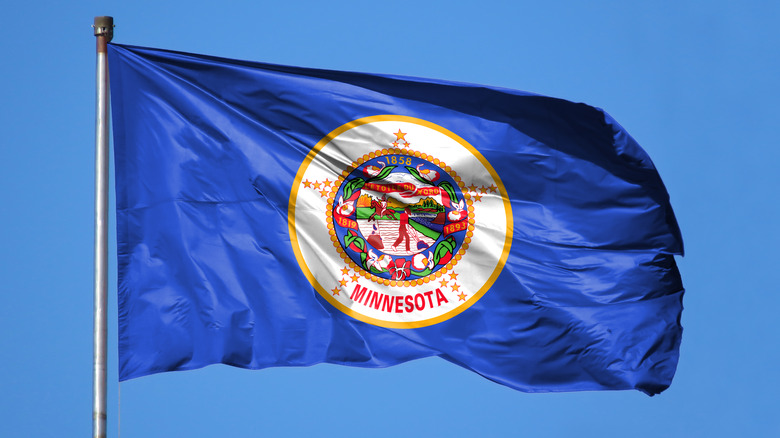 Minnesota state flag waving outside