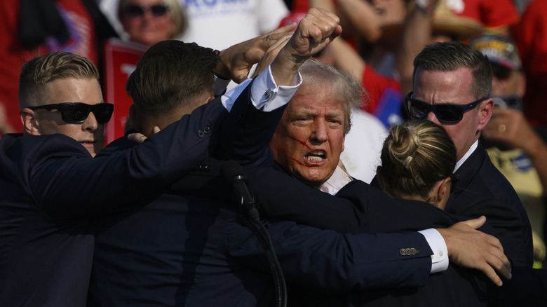 donald trump raised hand injury secret service rally