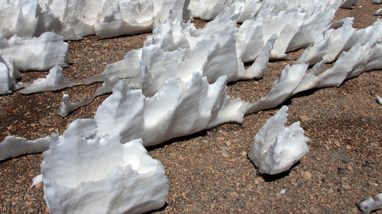 Penitentes on ground