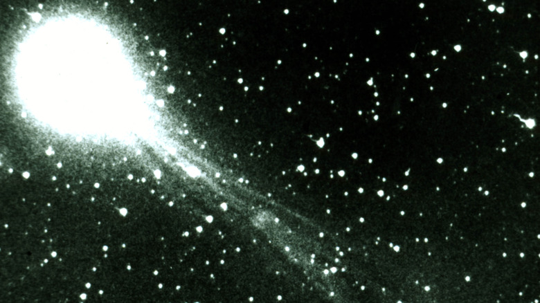 Halley's Comet