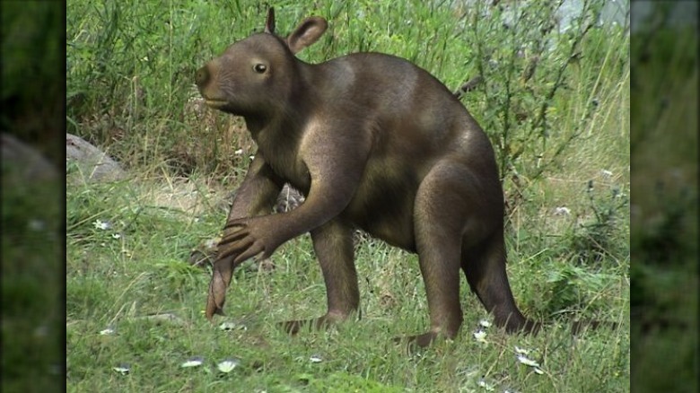 rendering of Propleopus oscillans in grass