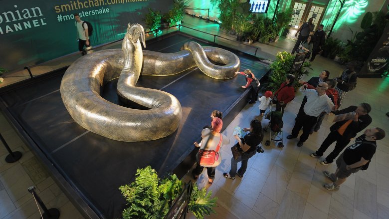 Titanoboa on display