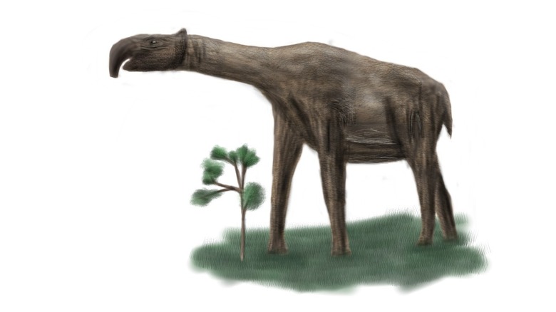 Artist's depiction of Linxia Giant Rhino