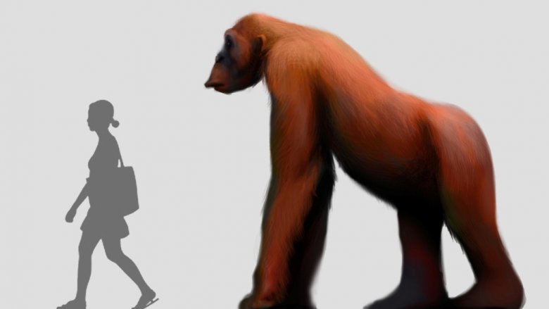 Gigantopithecus next to woman's silhouette 