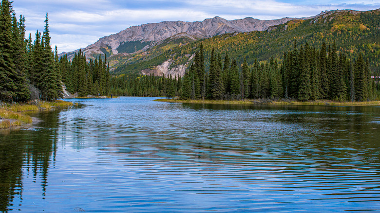 Horseshoe Lake Alaska