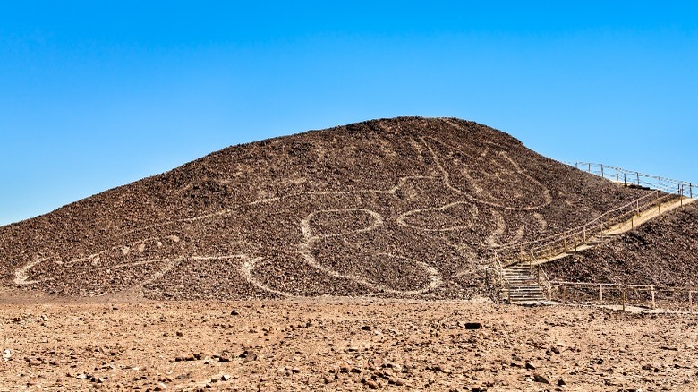 Nazca cat geoglyph on hill