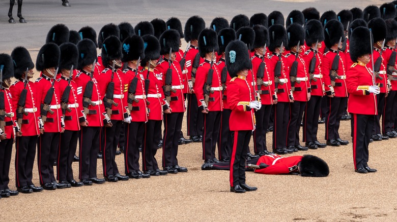 Queen's Guard fainting 