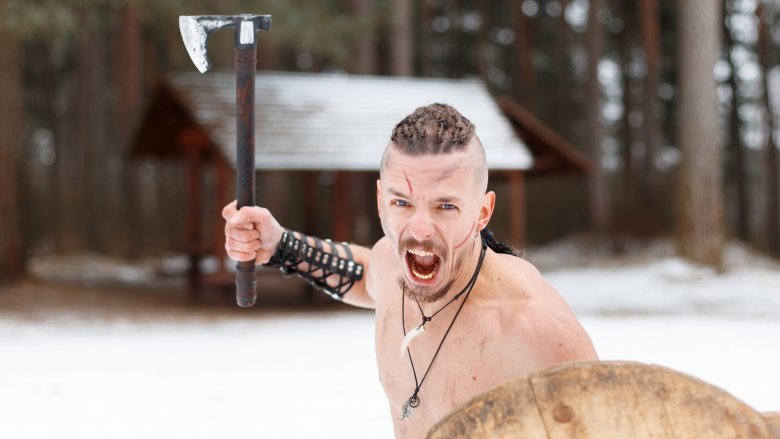 viking in minnesota