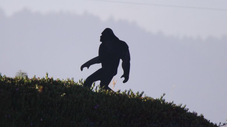 bigfoot sasquatch