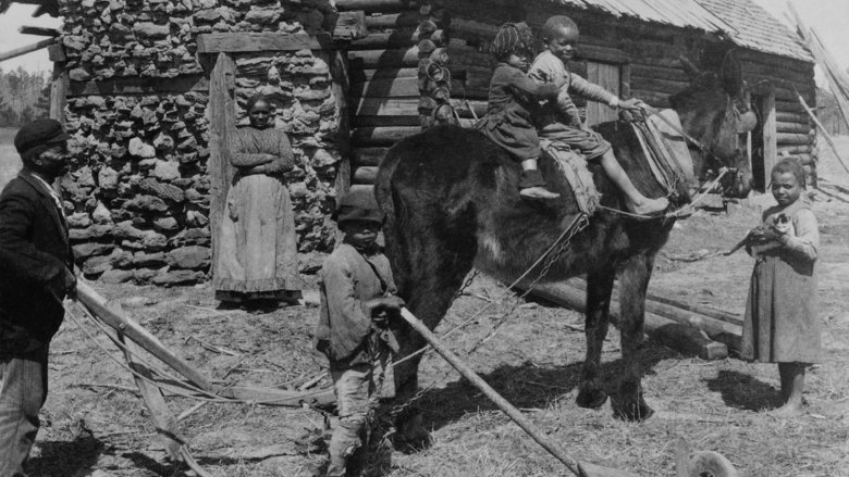 african american farming family