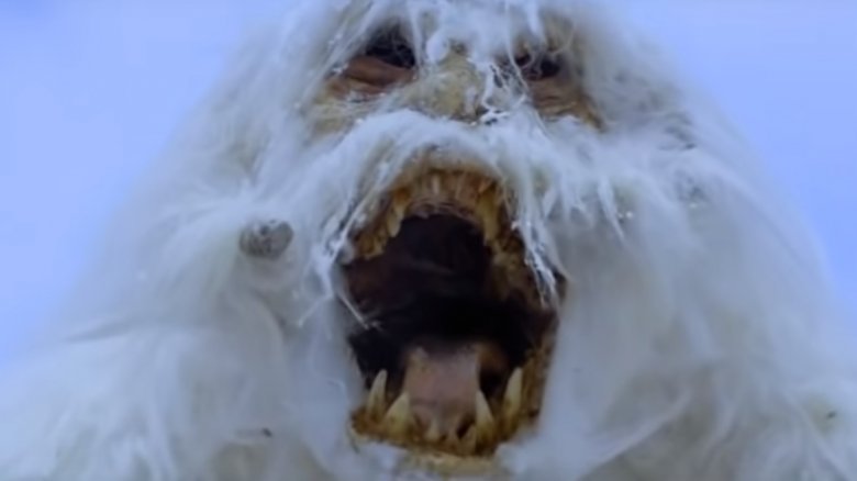 Wampa