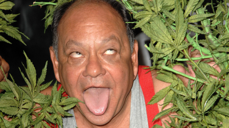 Cheech surrounded by marijuana leaves