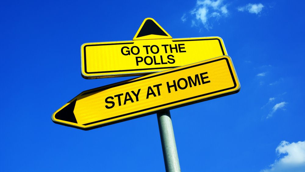 Traffic signs with two options: Go To The Polls or State At Home