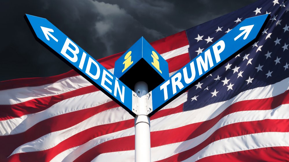 Biden or Trump road signs
