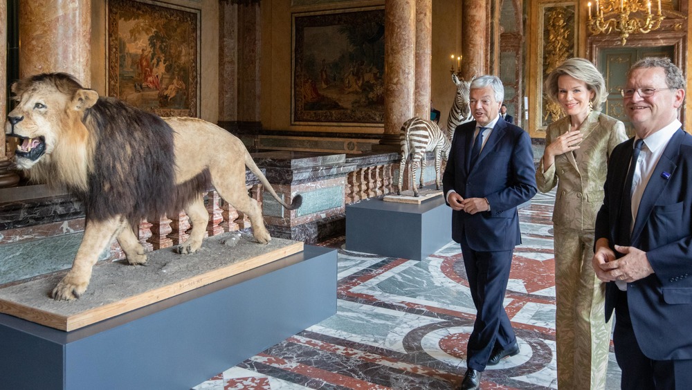 opening of the africa museum belgium