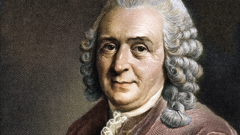 Carl Linnaeus illustrated portrait