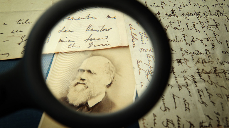 Charles Darwin and his letters on display