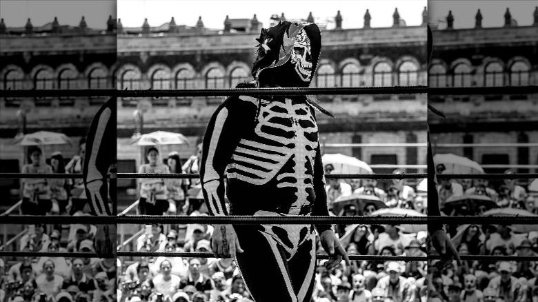 La Parka II in outdoor ring