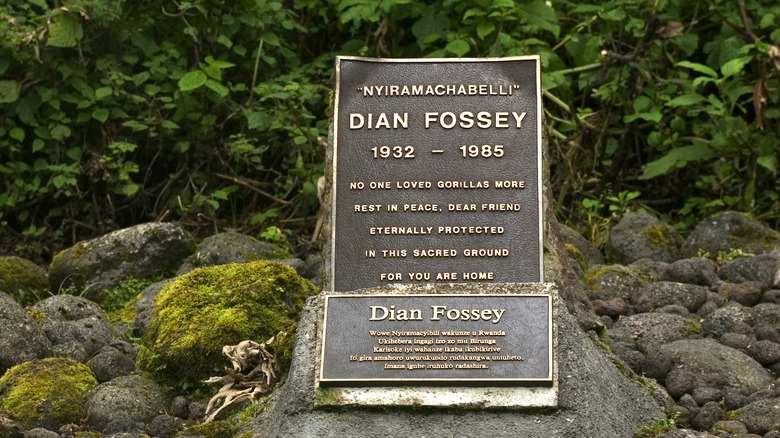 Dian Fossey's grave