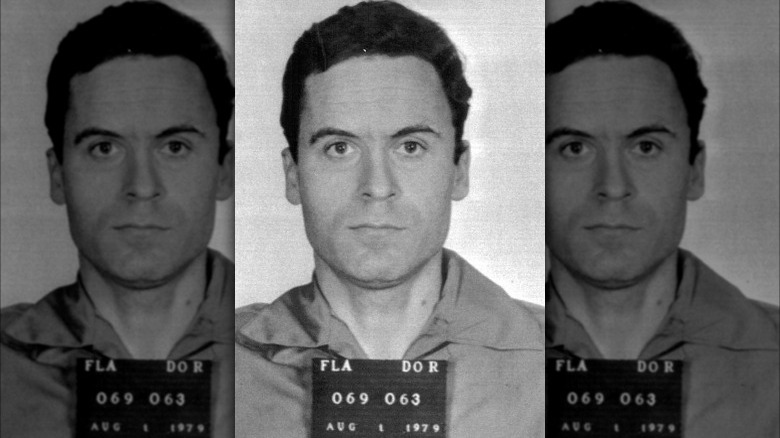 Poster for the Ted Bundy Tapes