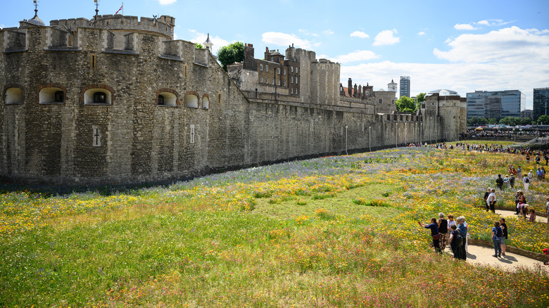 outside walls of Tower blue sky tourists