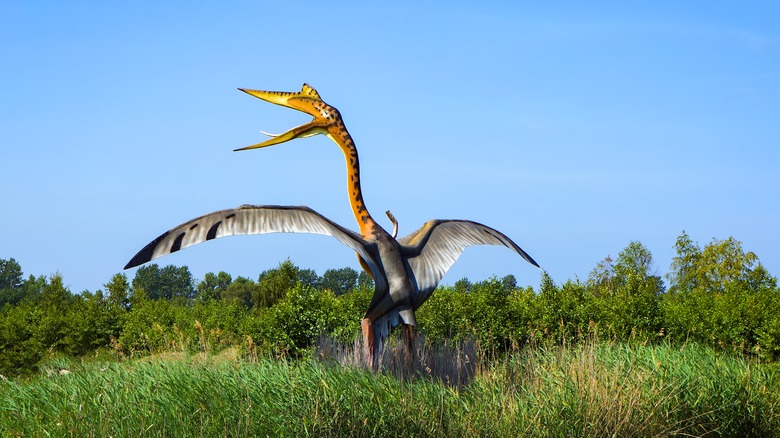 model of Quetzalcoatlus poland